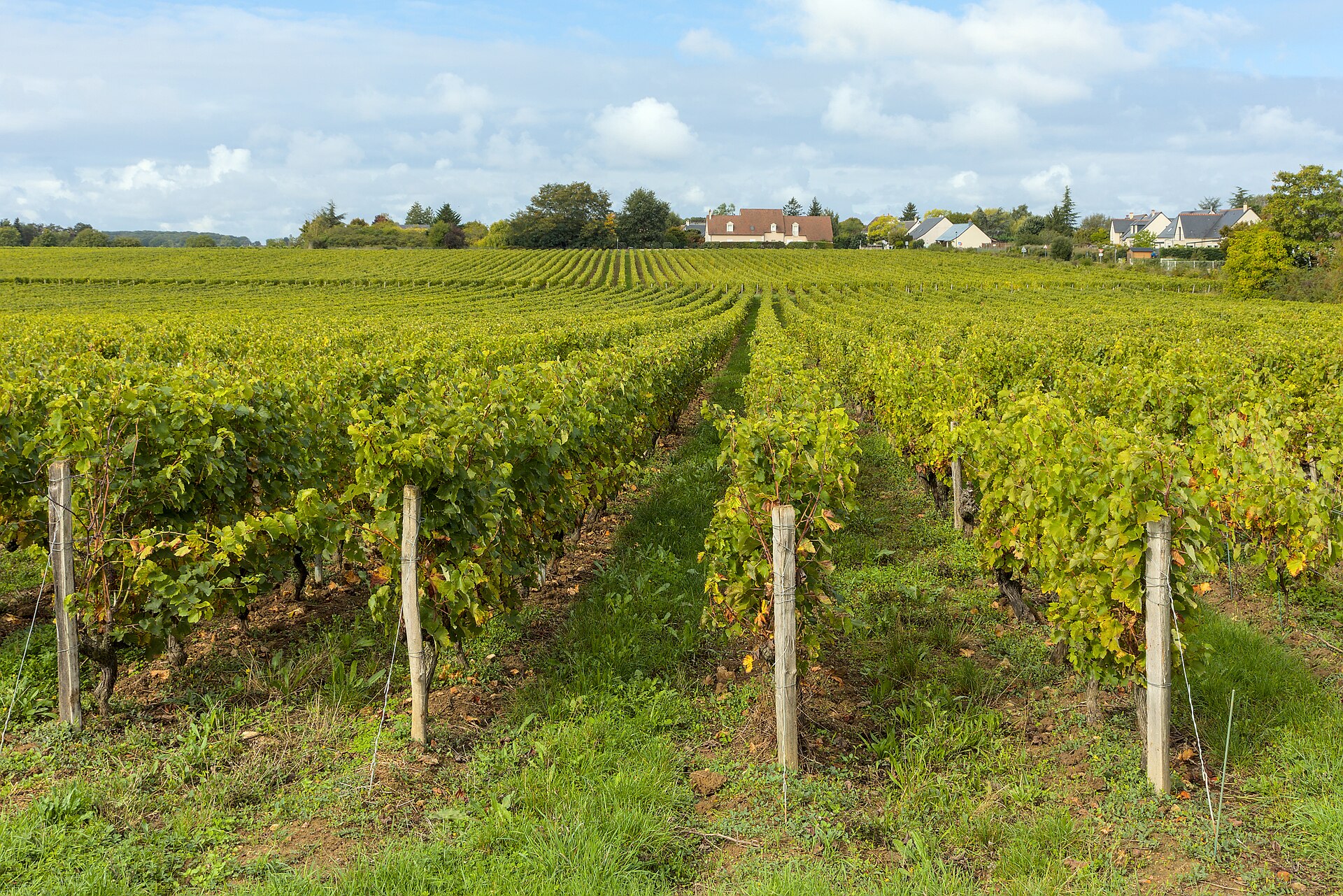 Loire