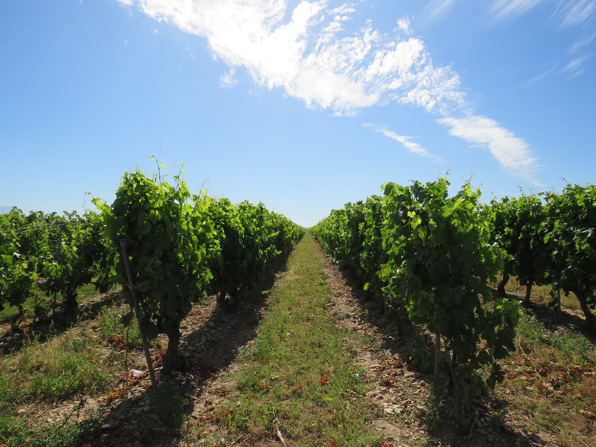 Rioja